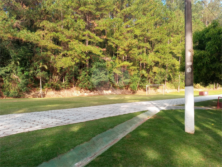 Foto REO1088386