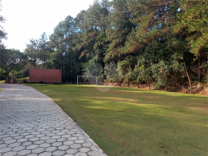 Foto REO1088386