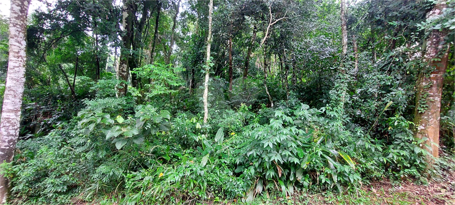 Foto REO1088386