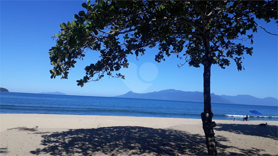Foto REO1088388