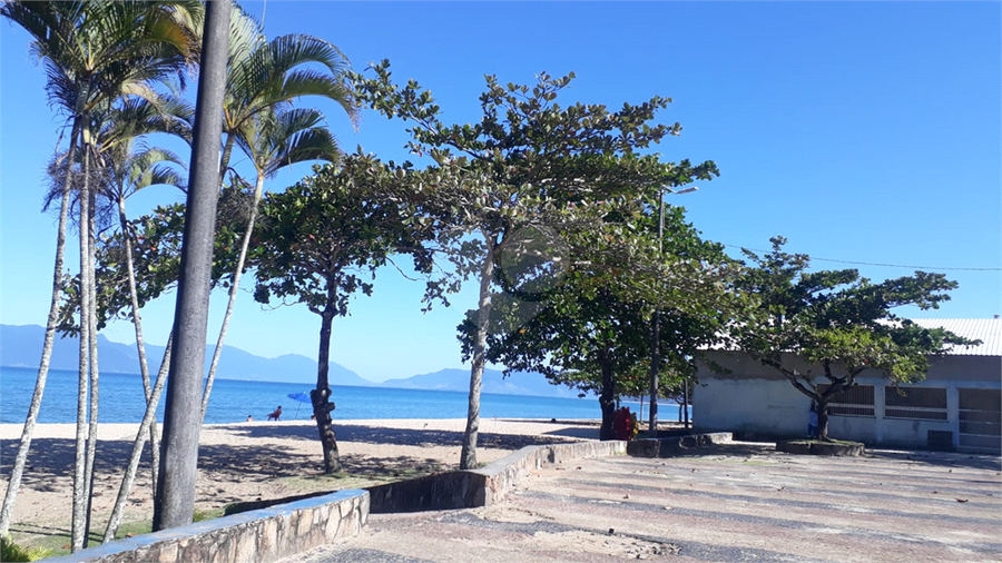 Foto REO1088388