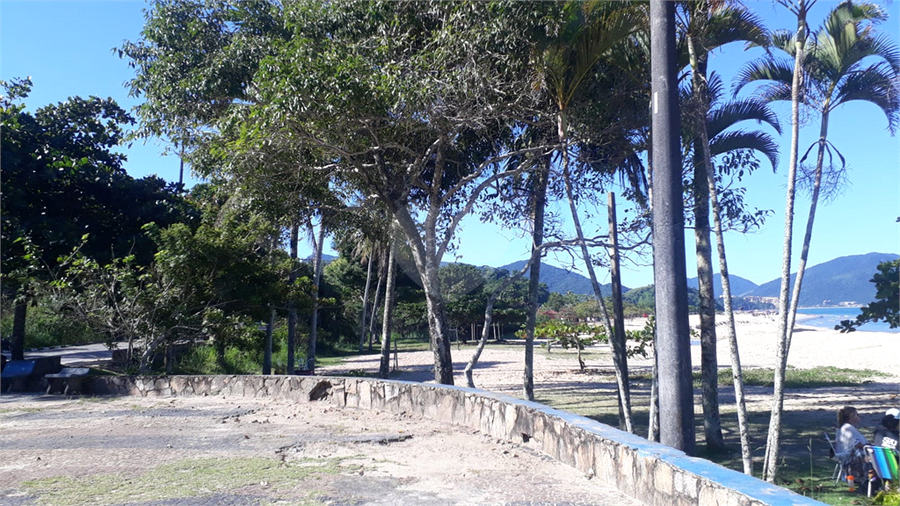 Foto REO1088388