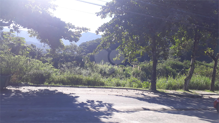Foto REO1088388