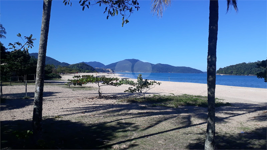 Foto REO1088388