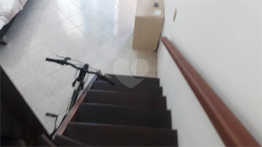 Foto REO1088388