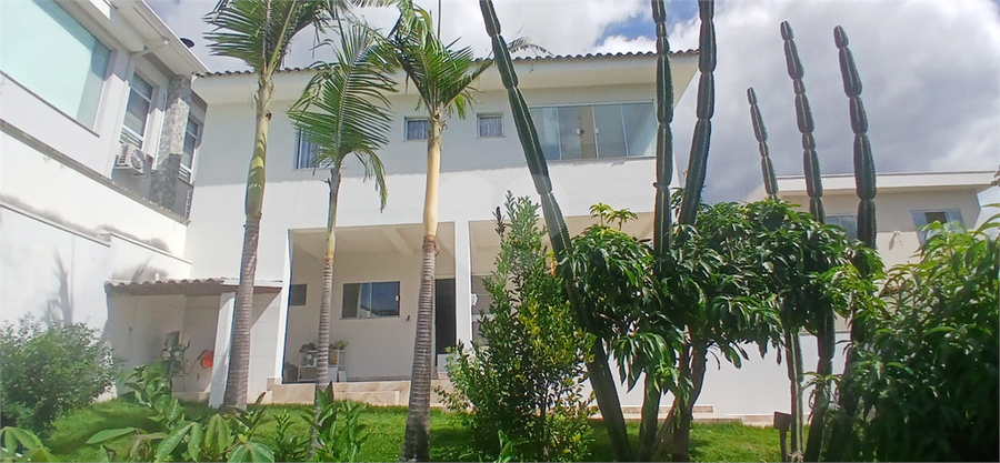 Foto REO1088395