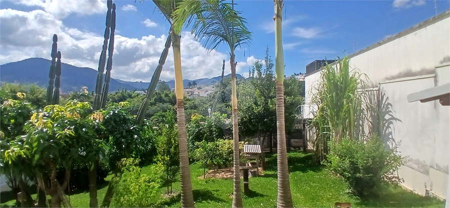 Foto REO1088395