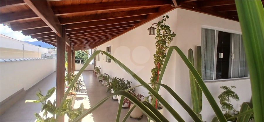 Foto REO1088395