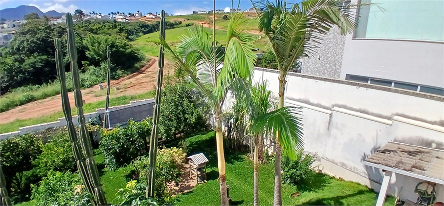 Foto REO1088395