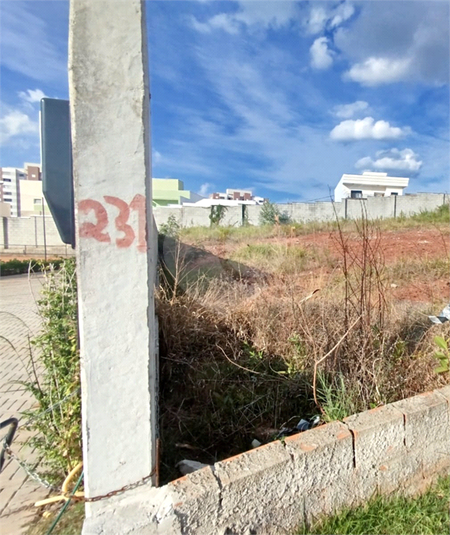 Foto REO1088399