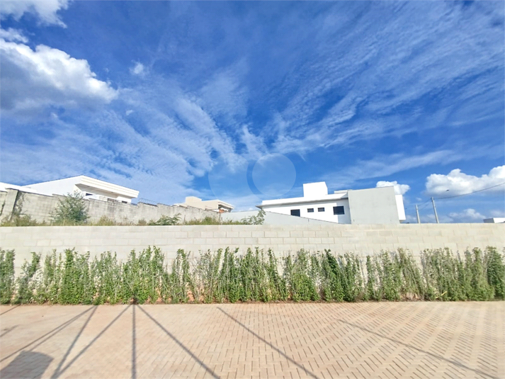 Foto REO1088399