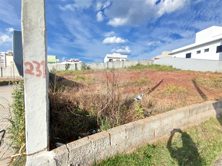 Foto REO1088399