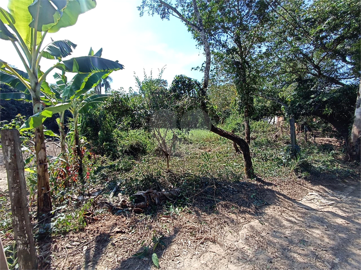 Foto REO1088402