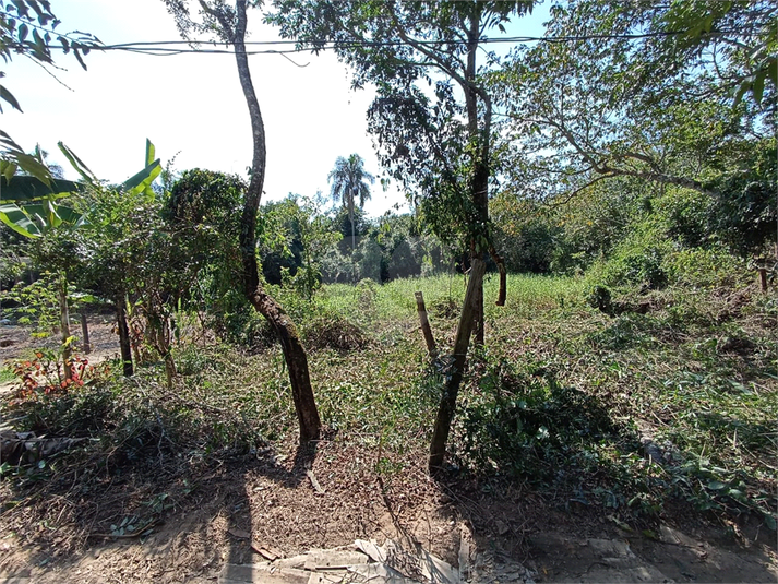 Foto REO1088402