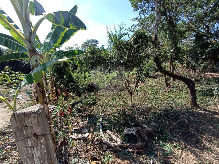 Foto REO1088402