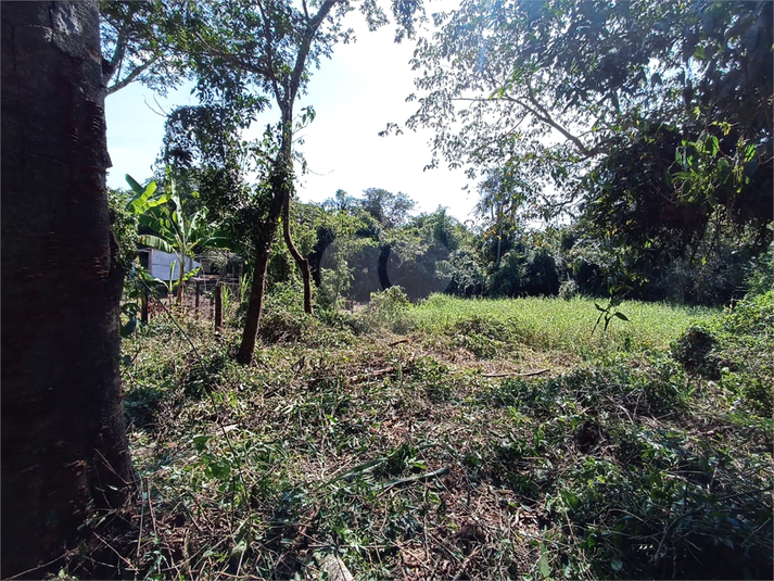 Foto REO1088402