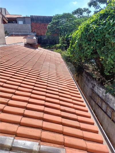 Foto REO1088406