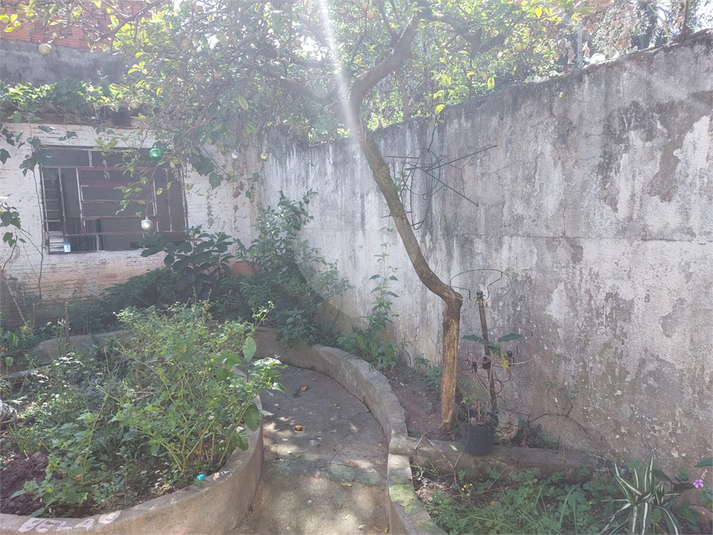 Foto REO1088406
