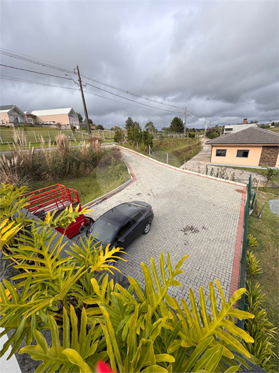 Foto REO1088413
