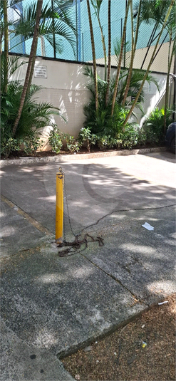 5 vagas para visitantes