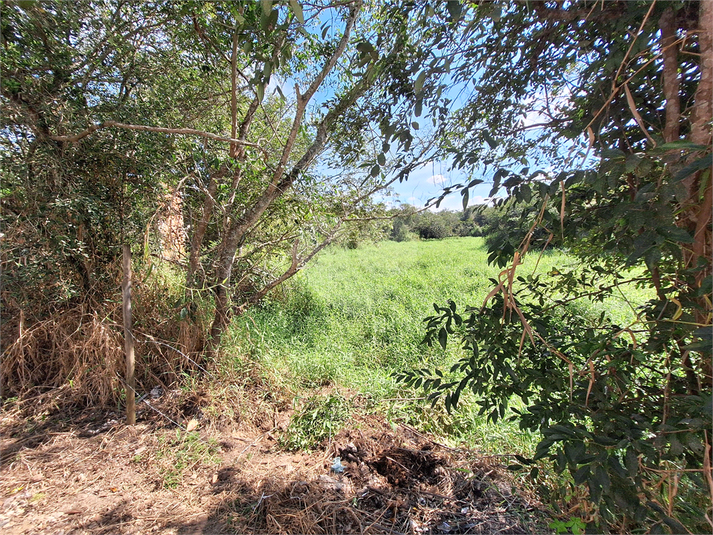 Foto REO1088416