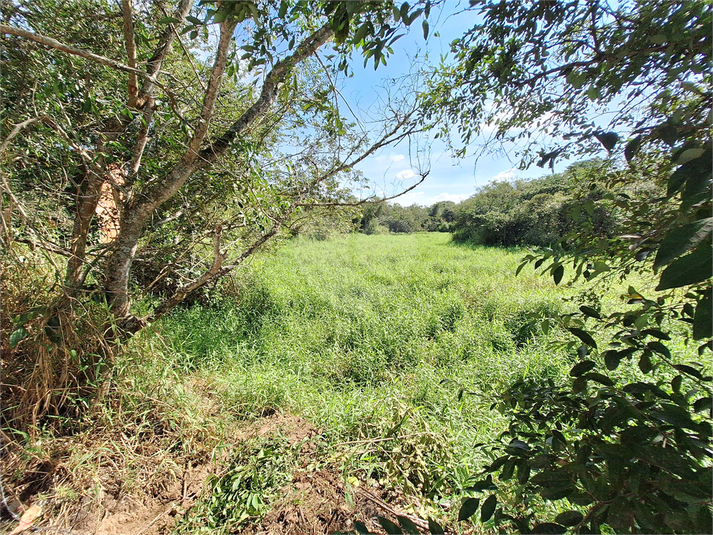 Foto REO1088416
