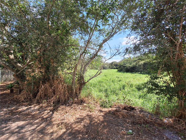 Foto REO1088416