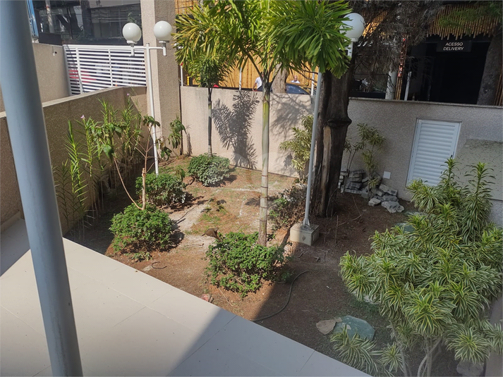Foto REO1088426
