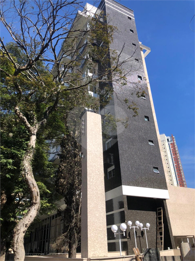 Foto REO1088426
