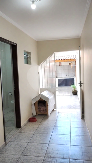 Foto REO1088434