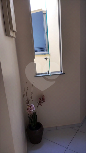 Foto REO1088434