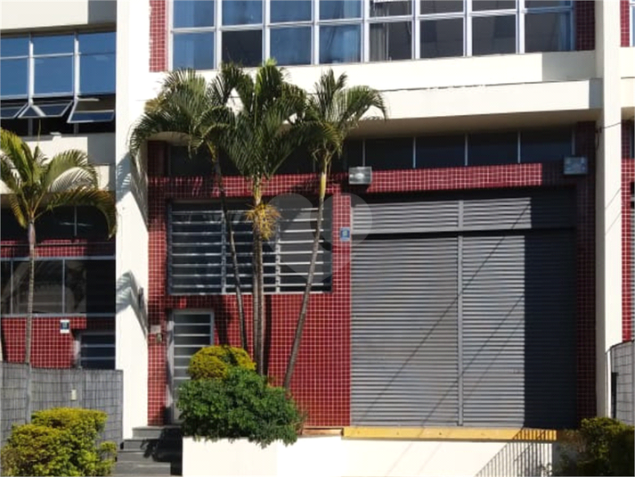 Foto REO1088440