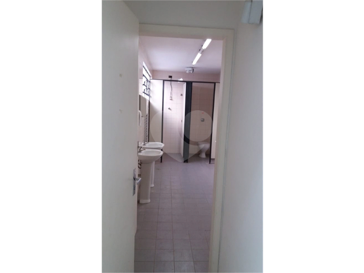 Foto REO1088440