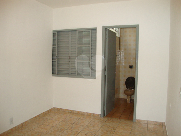 Foto REO1088449