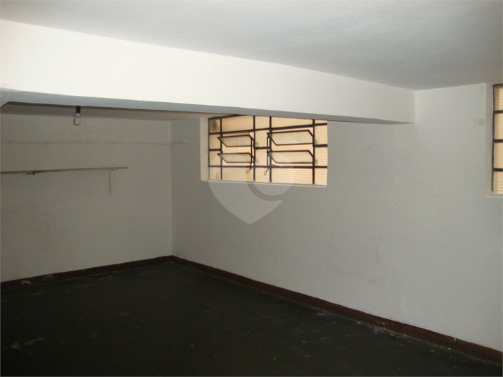 Foto REO1088449
