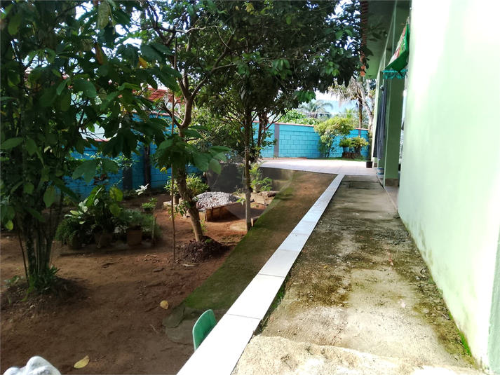Foto REO1088451