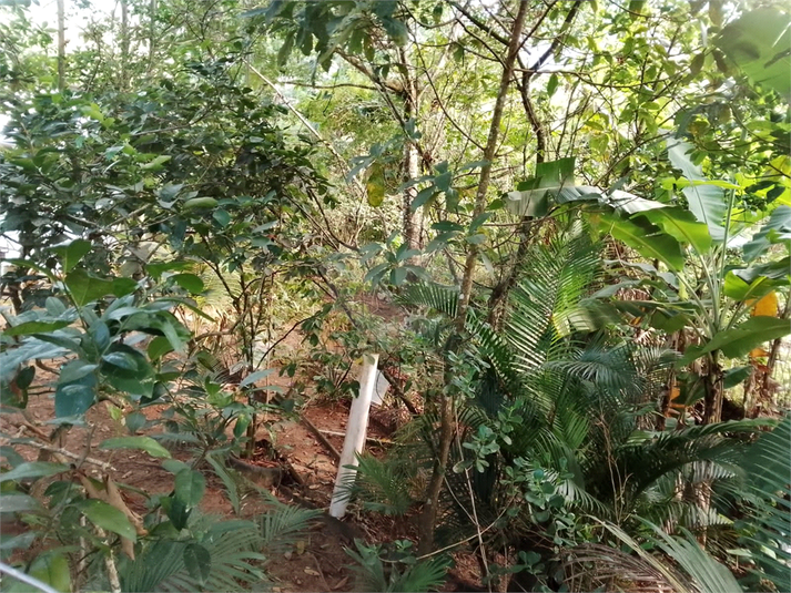 Foto REO1088451