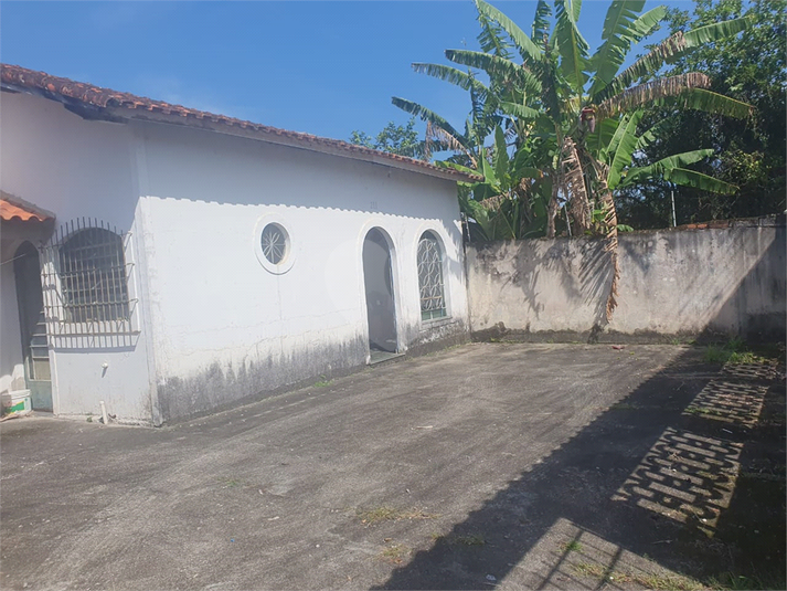Foto REO1088453