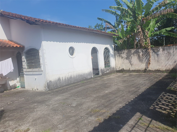 Foto REO1088453