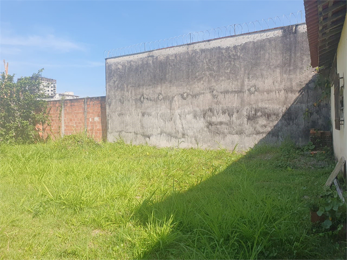 Foto REO1088453