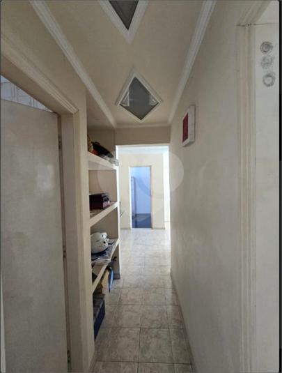 Foto REO1088455