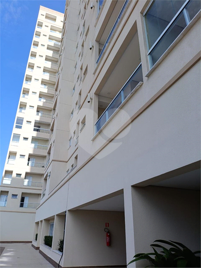 Foto REO1088457