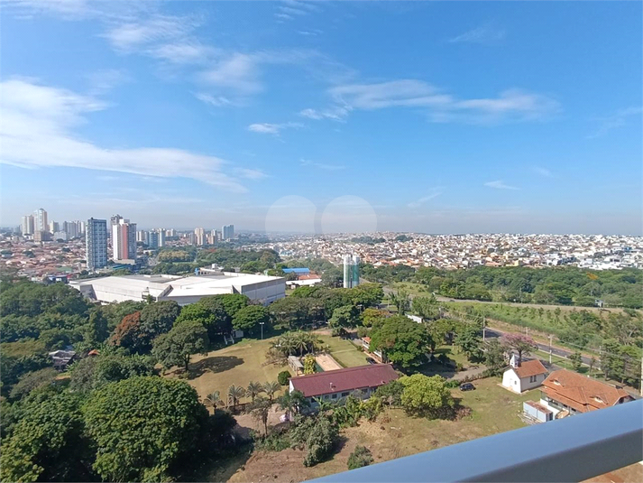 Foto REO1088457