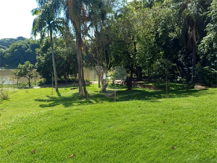 Foto REO1088457