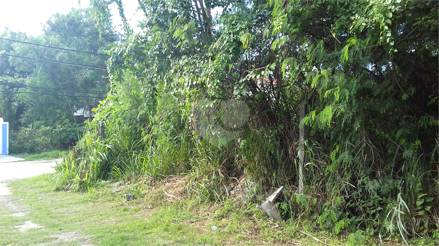 Foto REO1088472