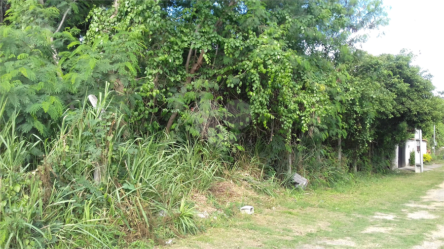 Foto REO1088472