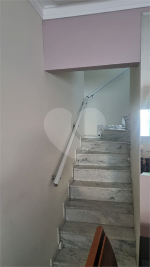Foto REO1088479
