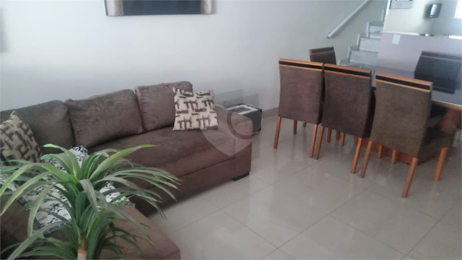 Foto REO1088479