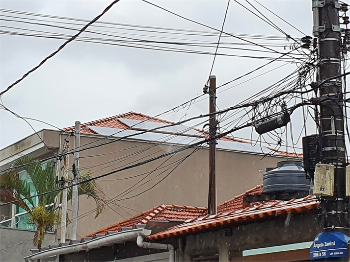 Foto REO1088479