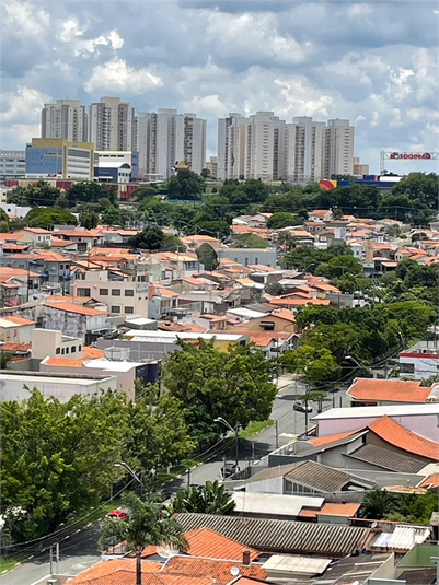 Foto REO1088482